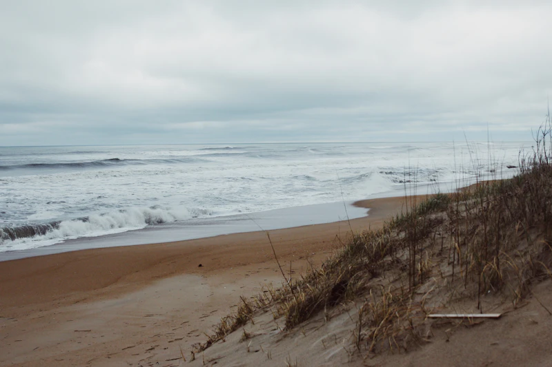 Dune grass above the grey Atlantic with whitecaps breaking at Corolla, North Carolina